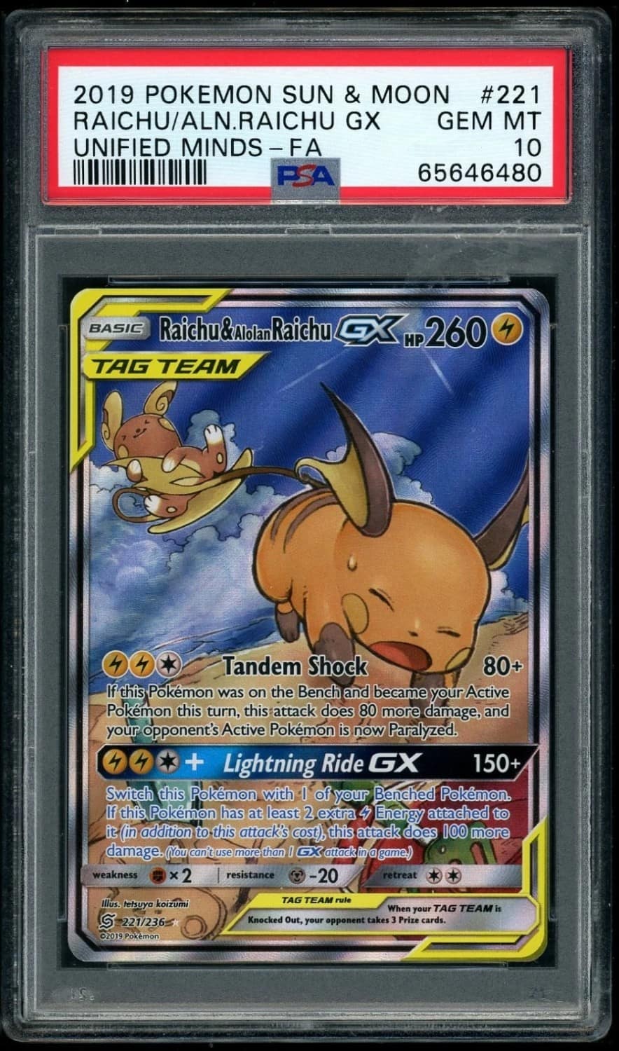 Raichu & Alolan Raichu Gx