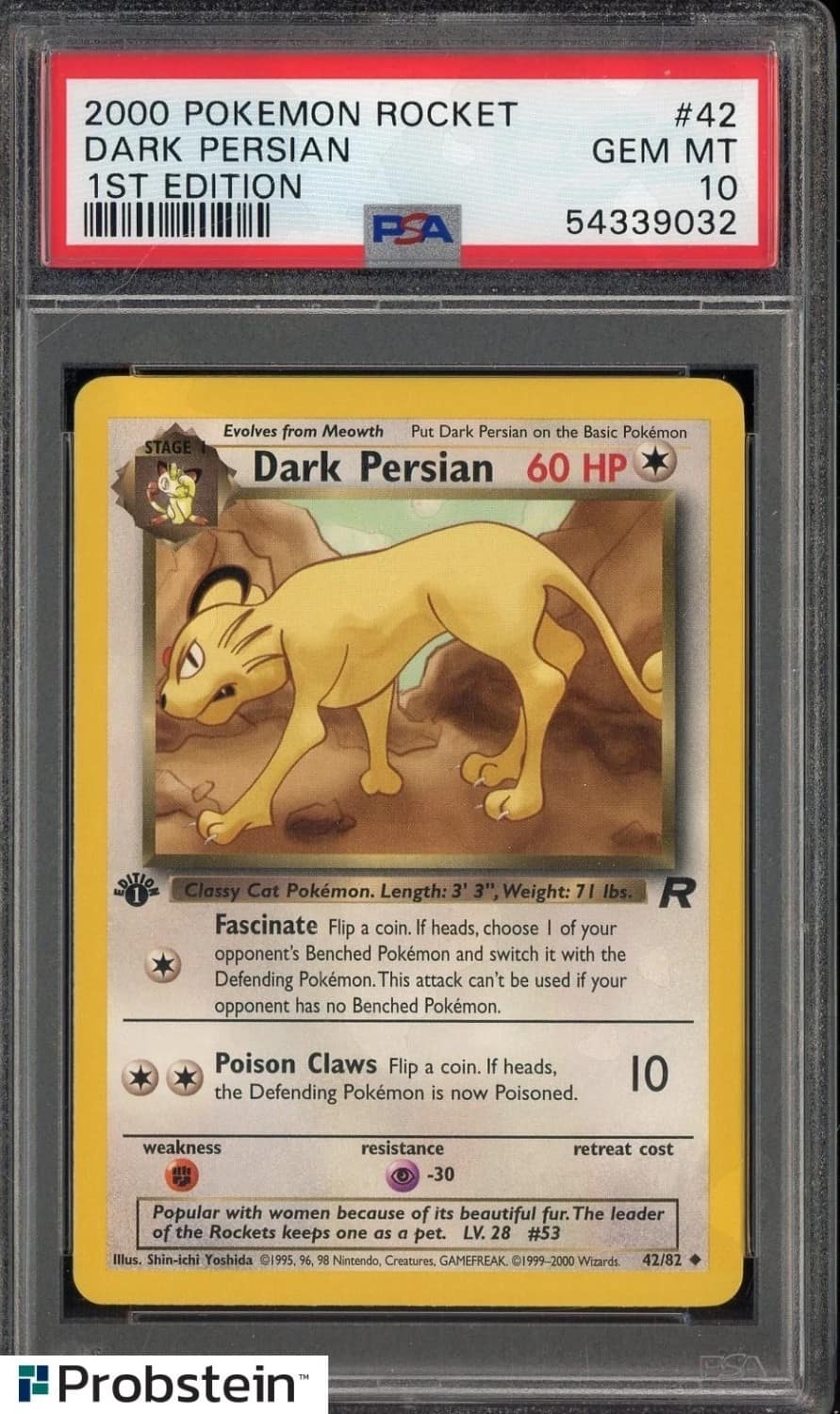 Dark Persian