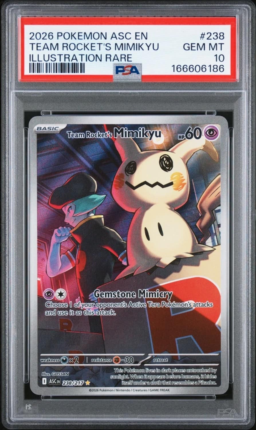Team Rocket'S Mimikyu