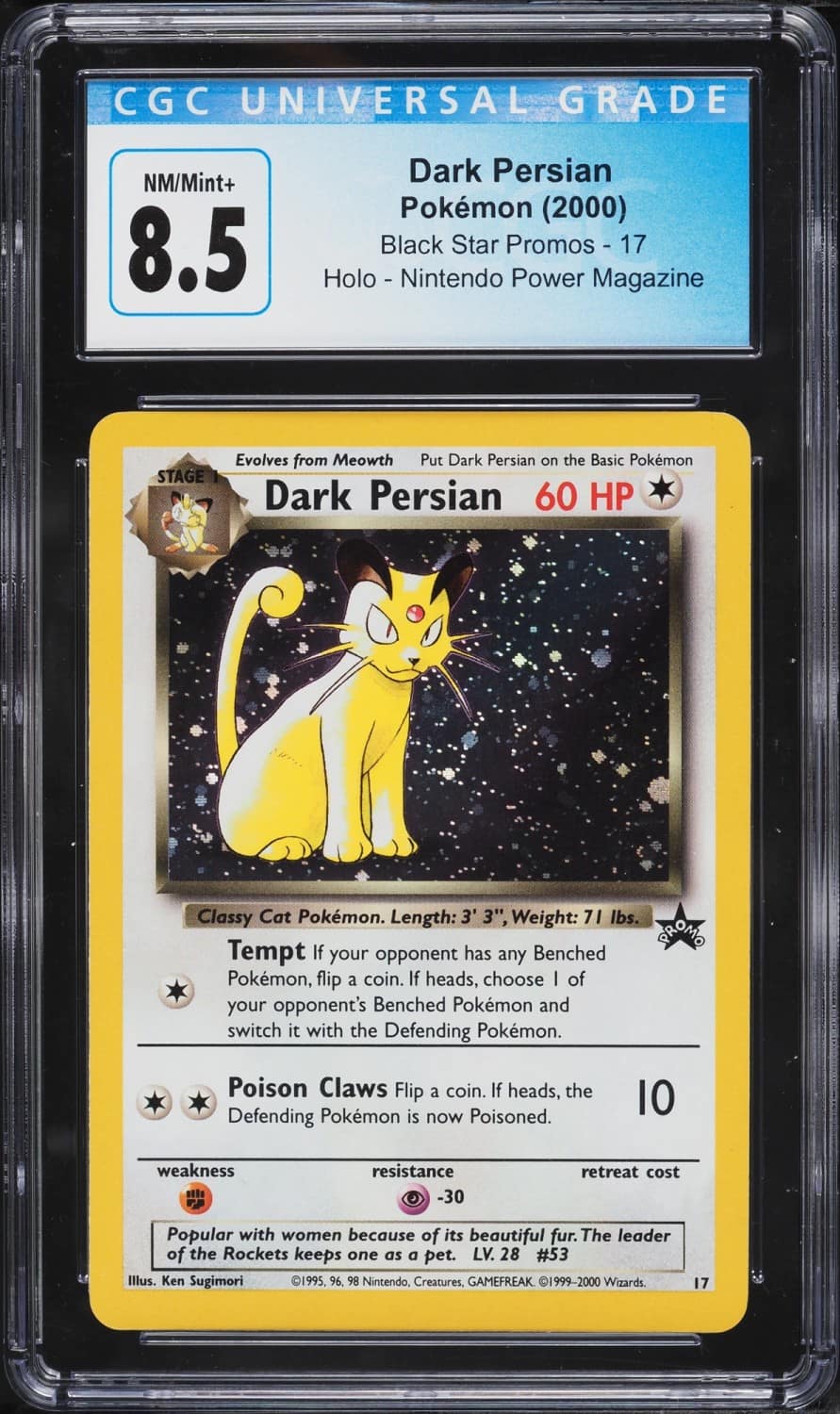 Dark Persian