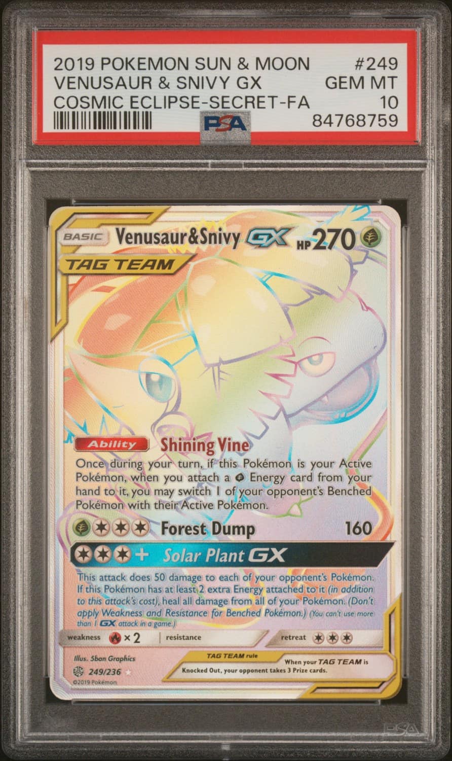 Venusaur & Snivy Gx