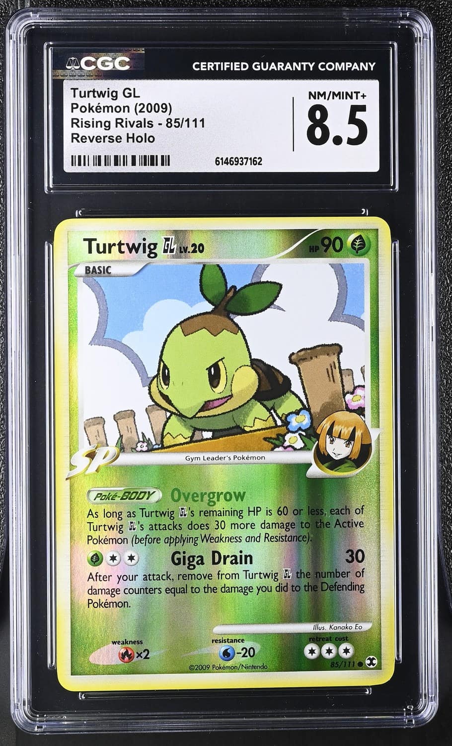 Turtwig Gl