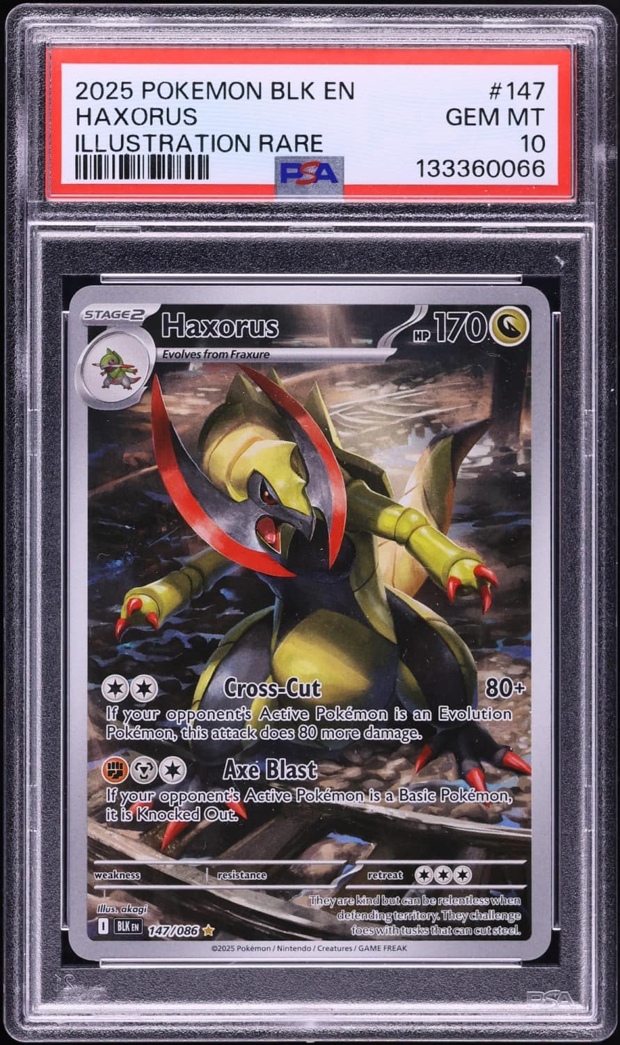 Haxorus