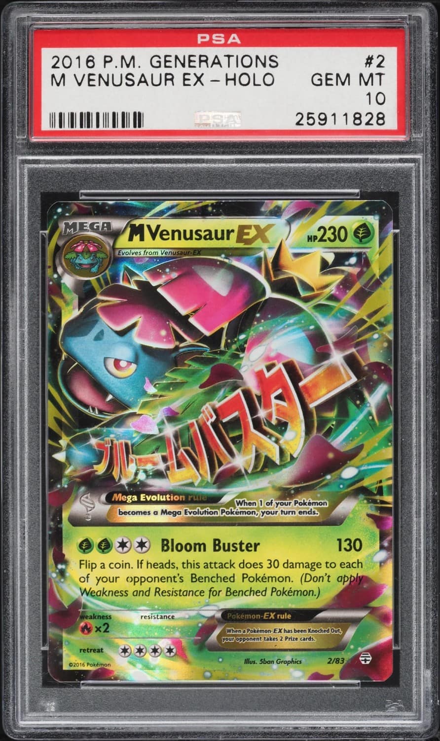 M Venusaur Ex