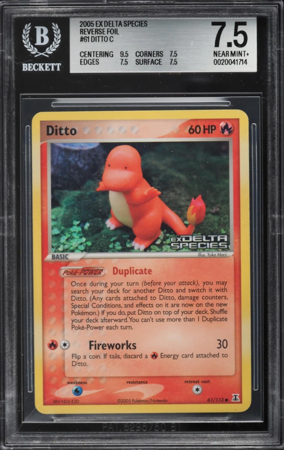 Ditto [charmander]