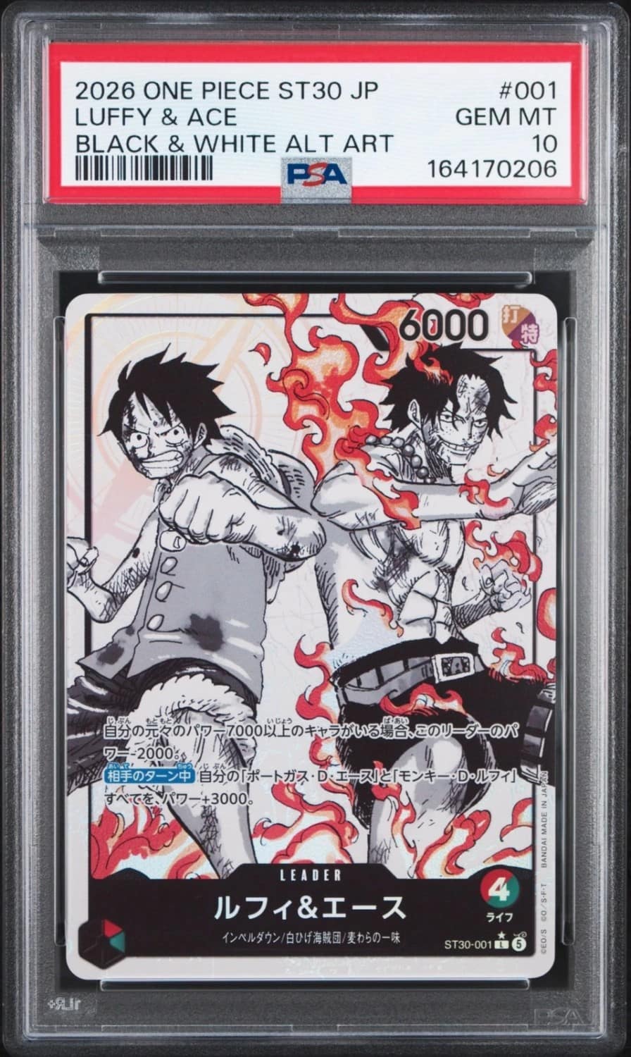 Luffy & Ace