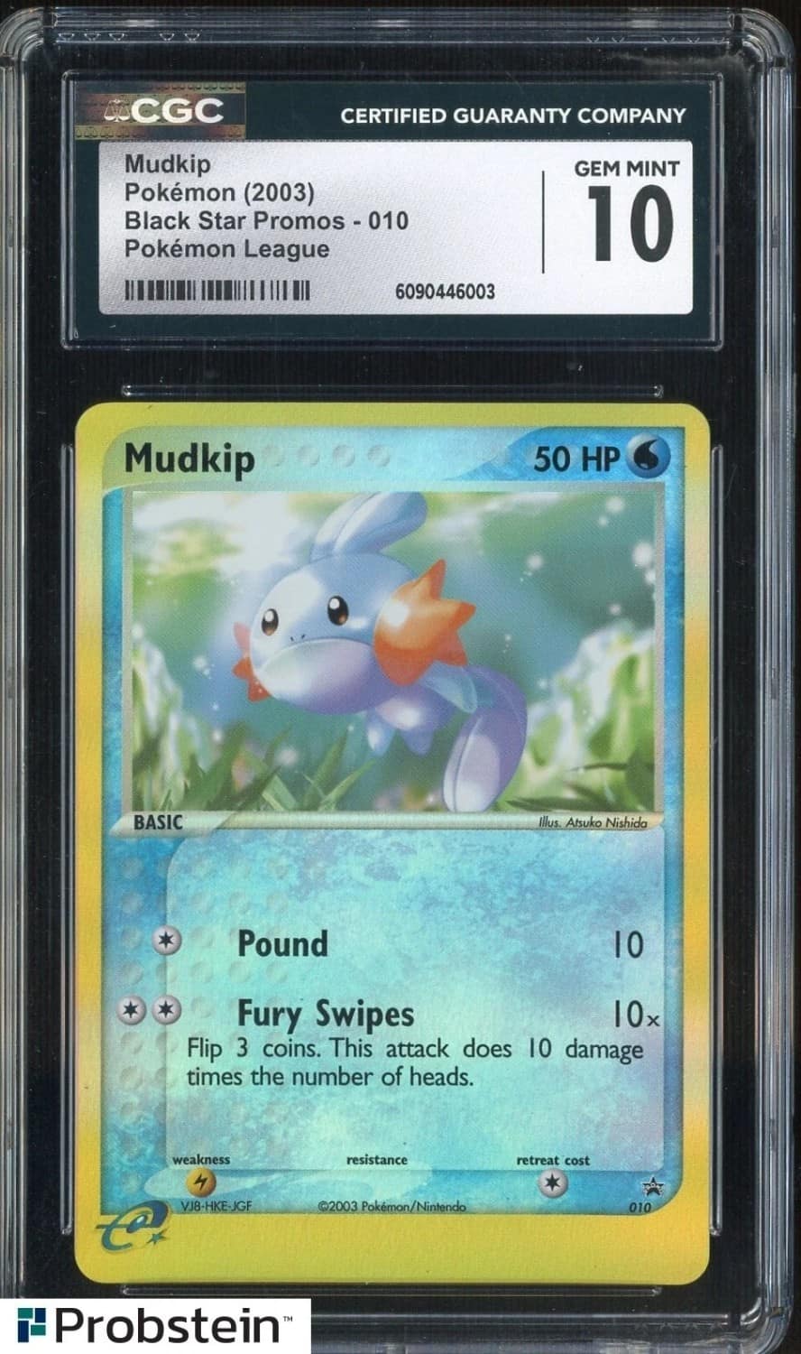 Mudkip