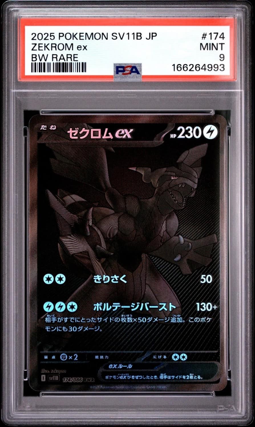 Zekrom Ex