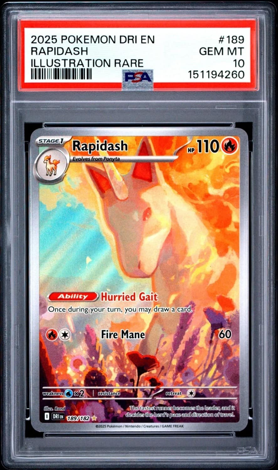 Rapidash