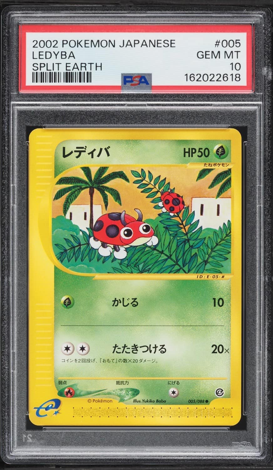 Ledyba