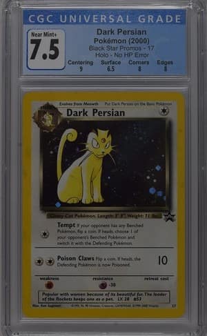 Dark Persian