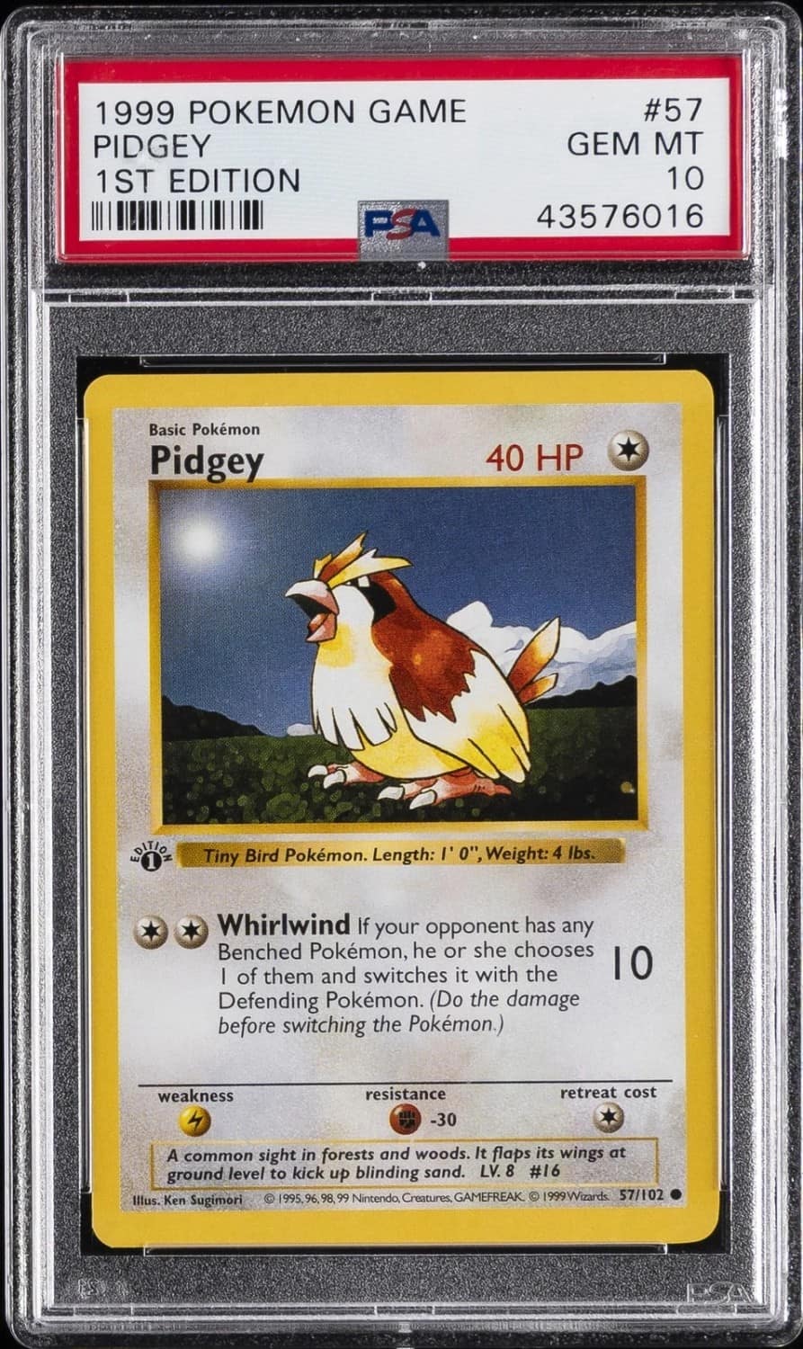 Pidgey