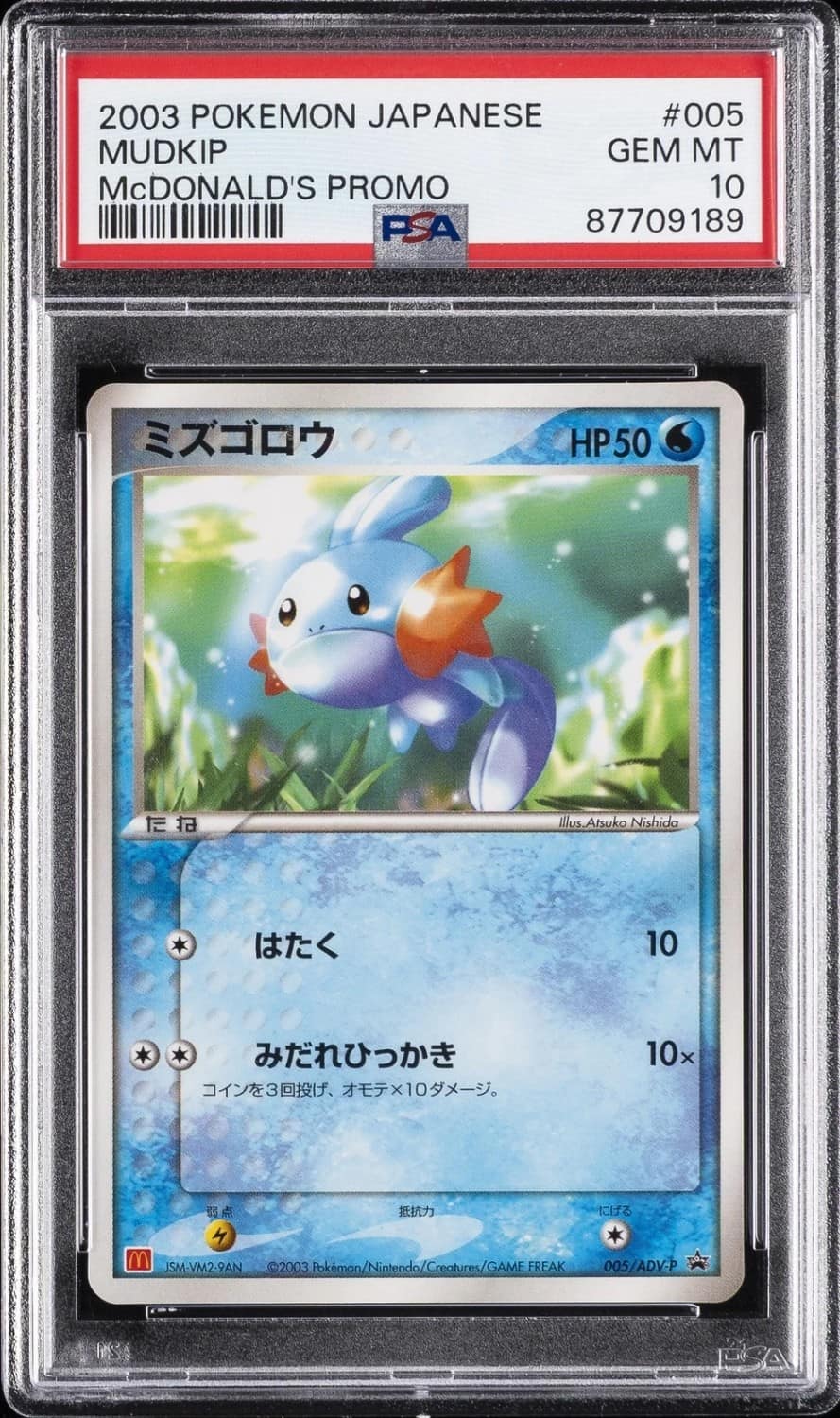 Mudkip