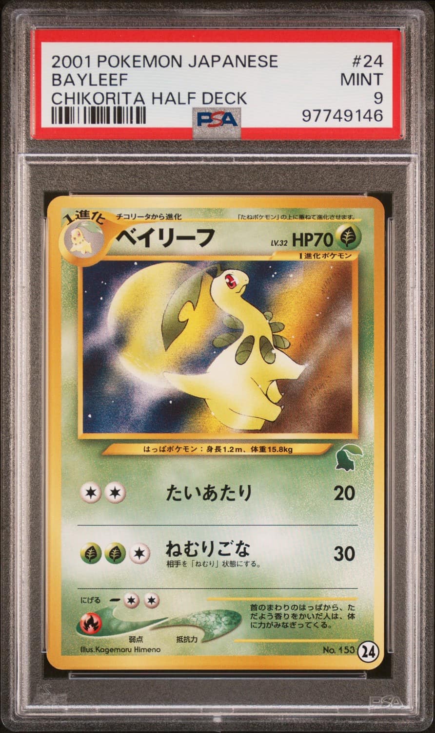 Bayleef