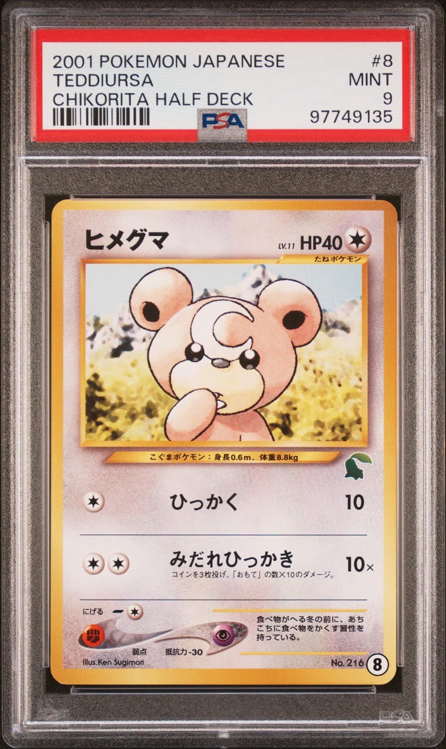 Teddiursa