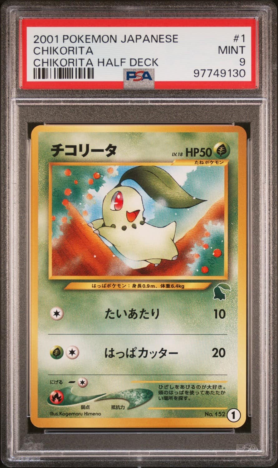 Chikorita