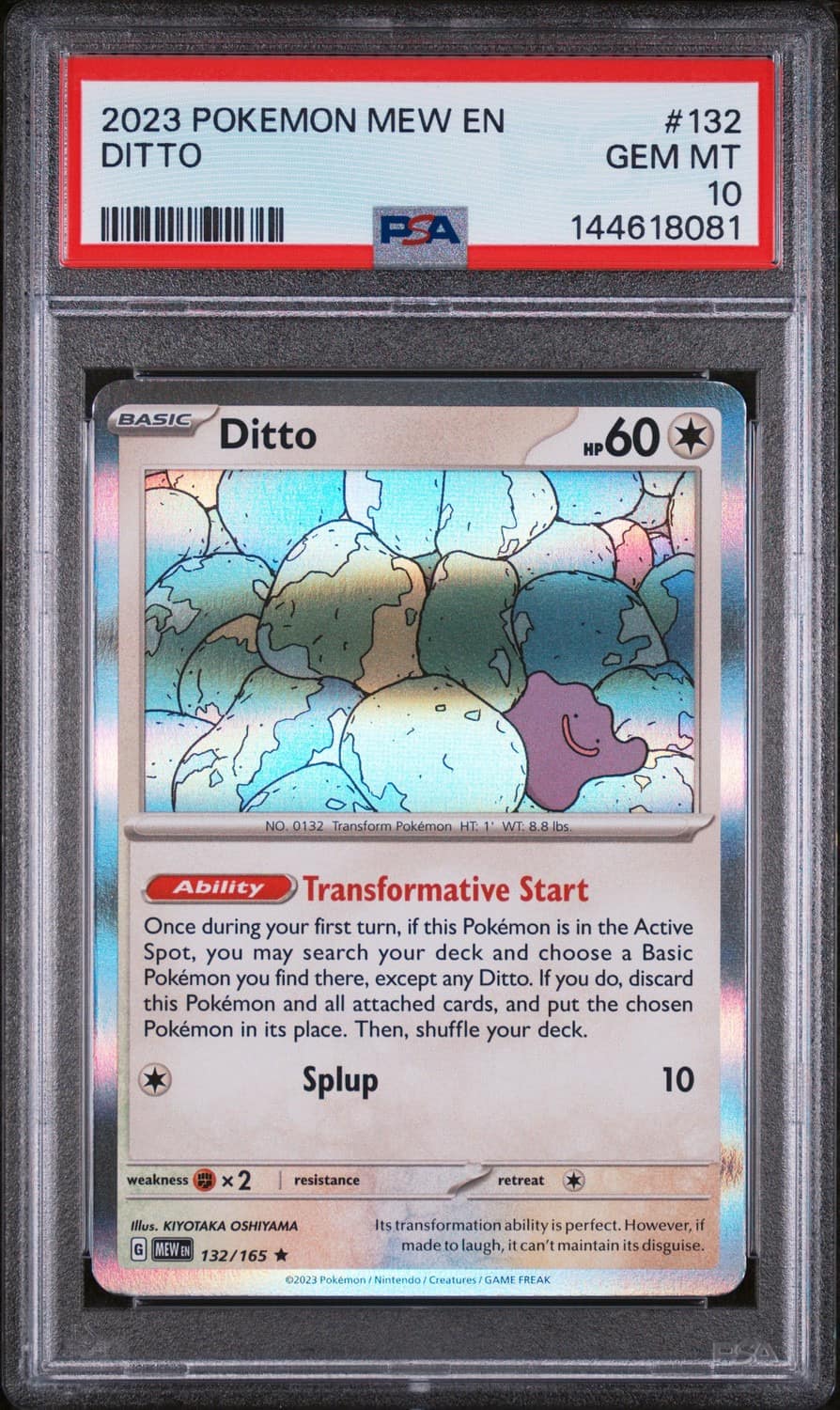 Ditto