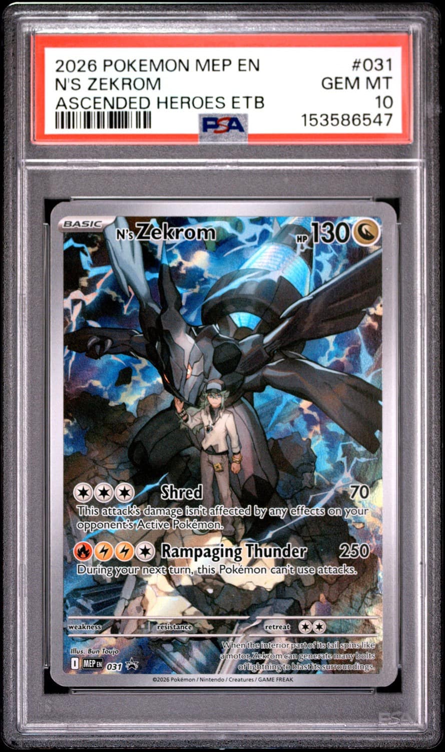 N'S Zekrom