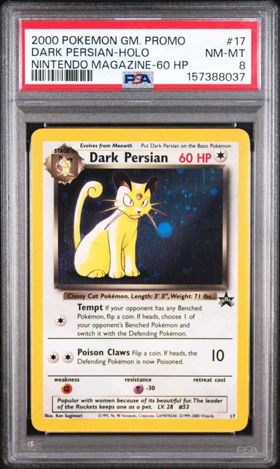 Dark Persian