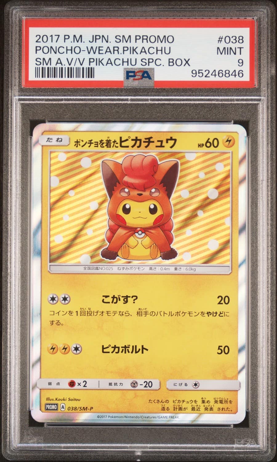 Poncho-Wearing Pikachu