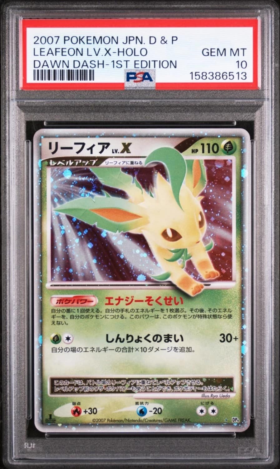 Leafeon Lv X