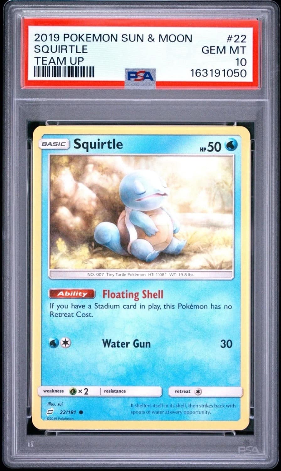 Squirtle