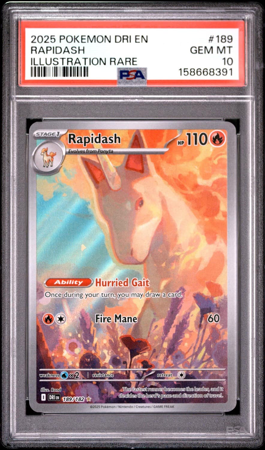 Rapidash