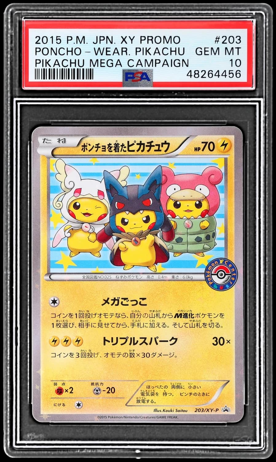 Poncho-Wear Pikachu