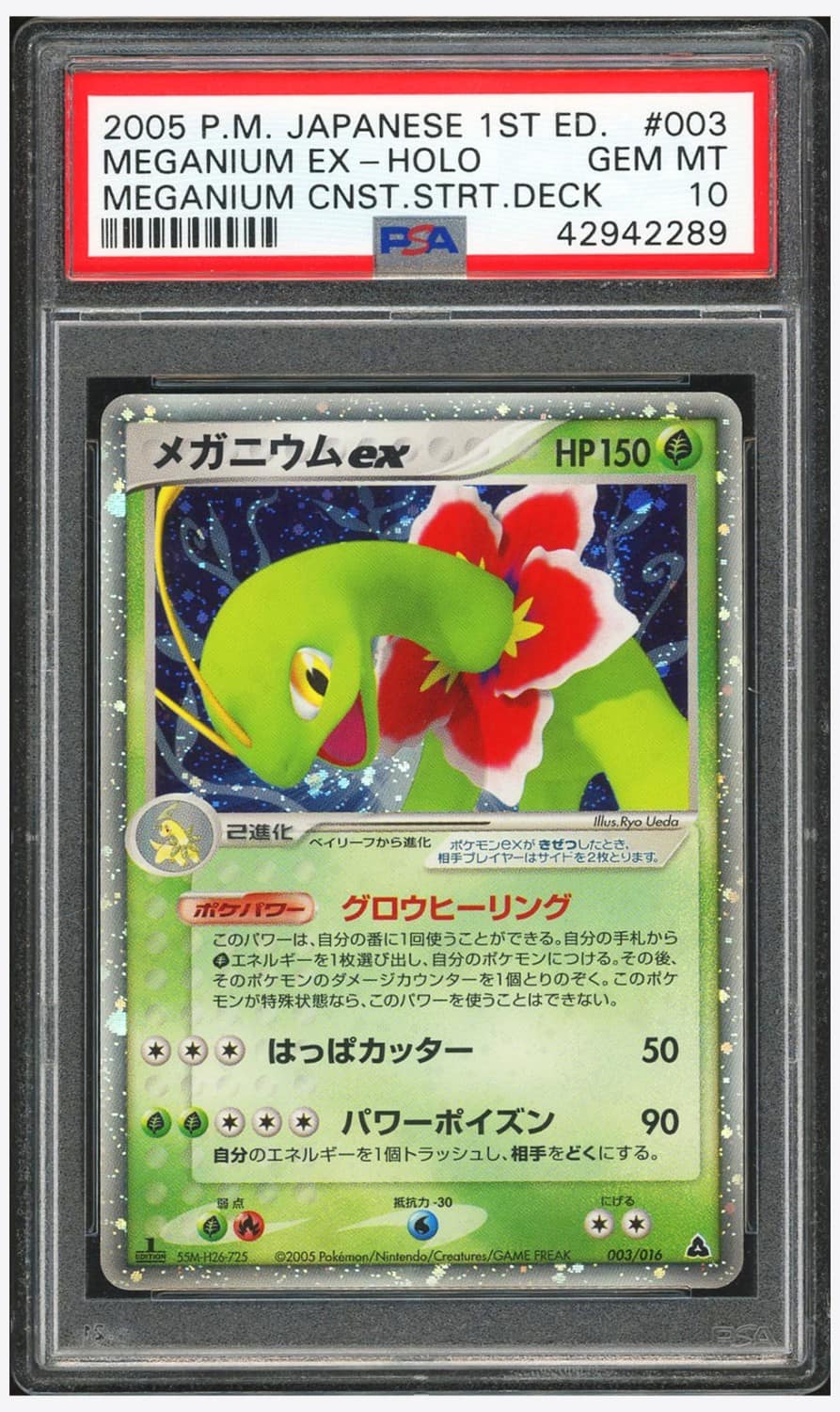 Meganium Ex