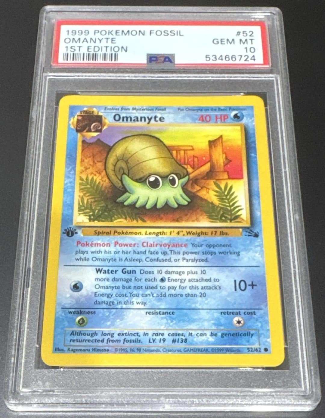 Omanyte