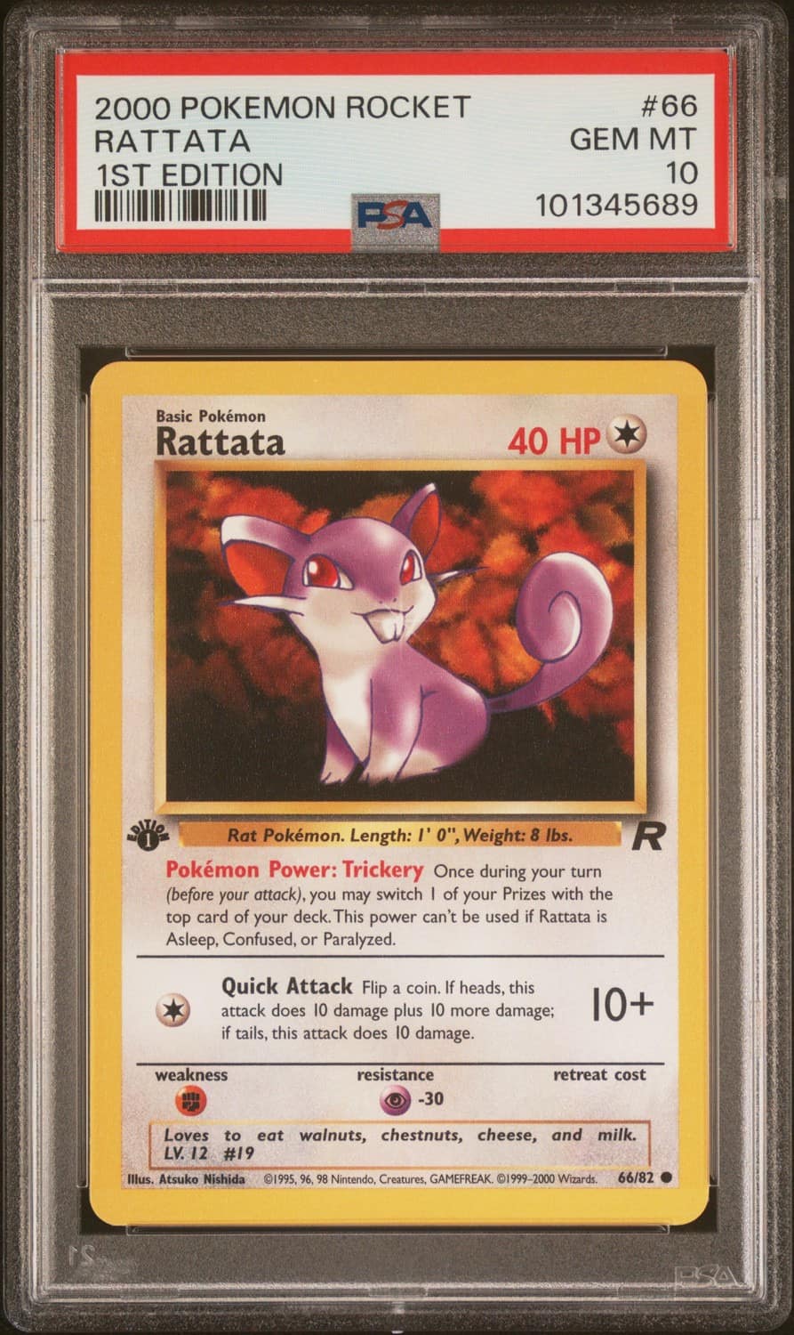 Rattata