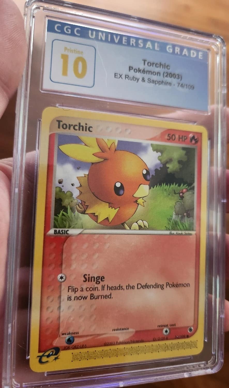 Torchic