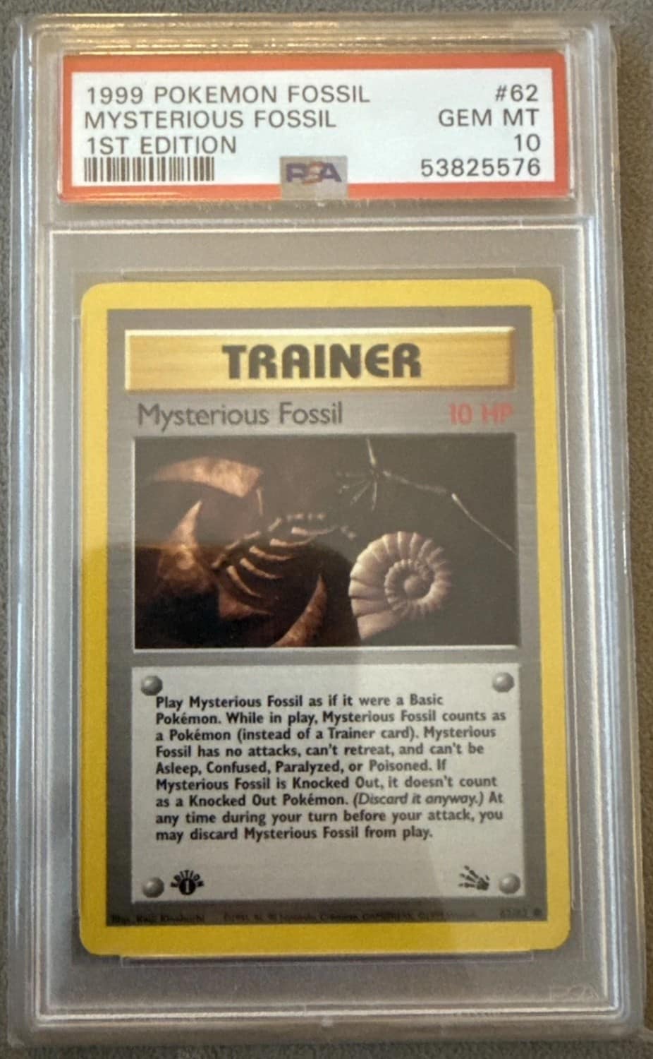 Mysterious Fossil
