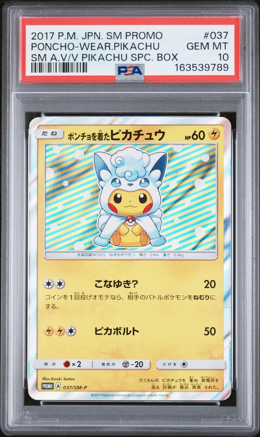 Poncho-Wearing Pikachu