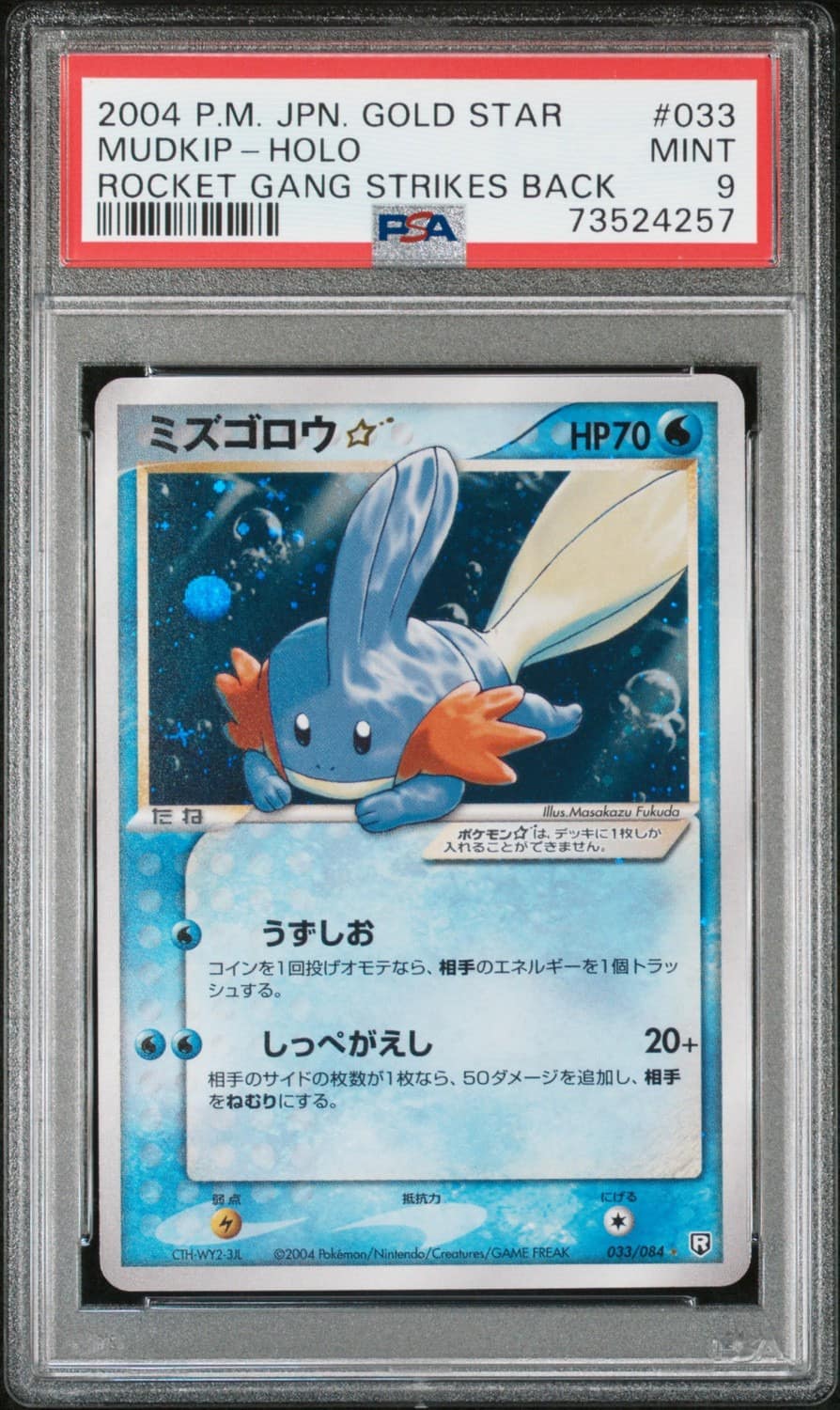 Mudkip
