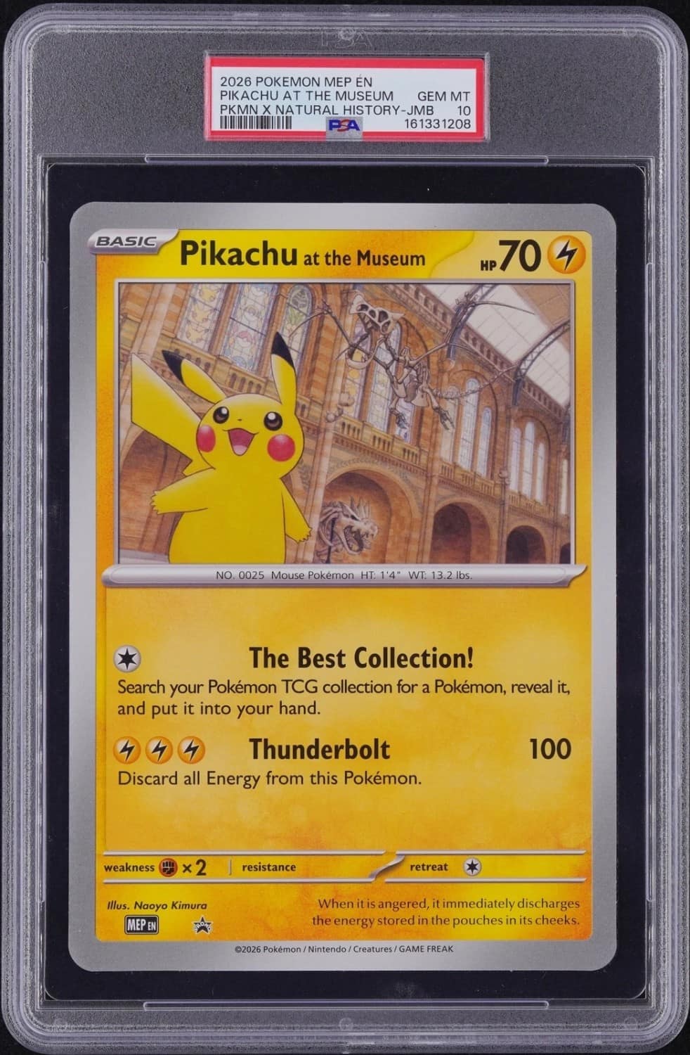 Pikachu At The Museum