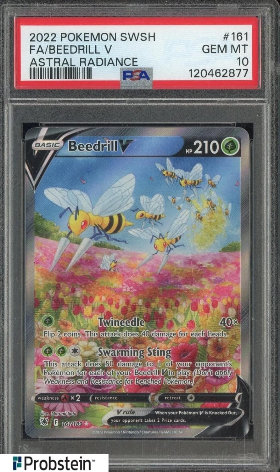 Beedrill V