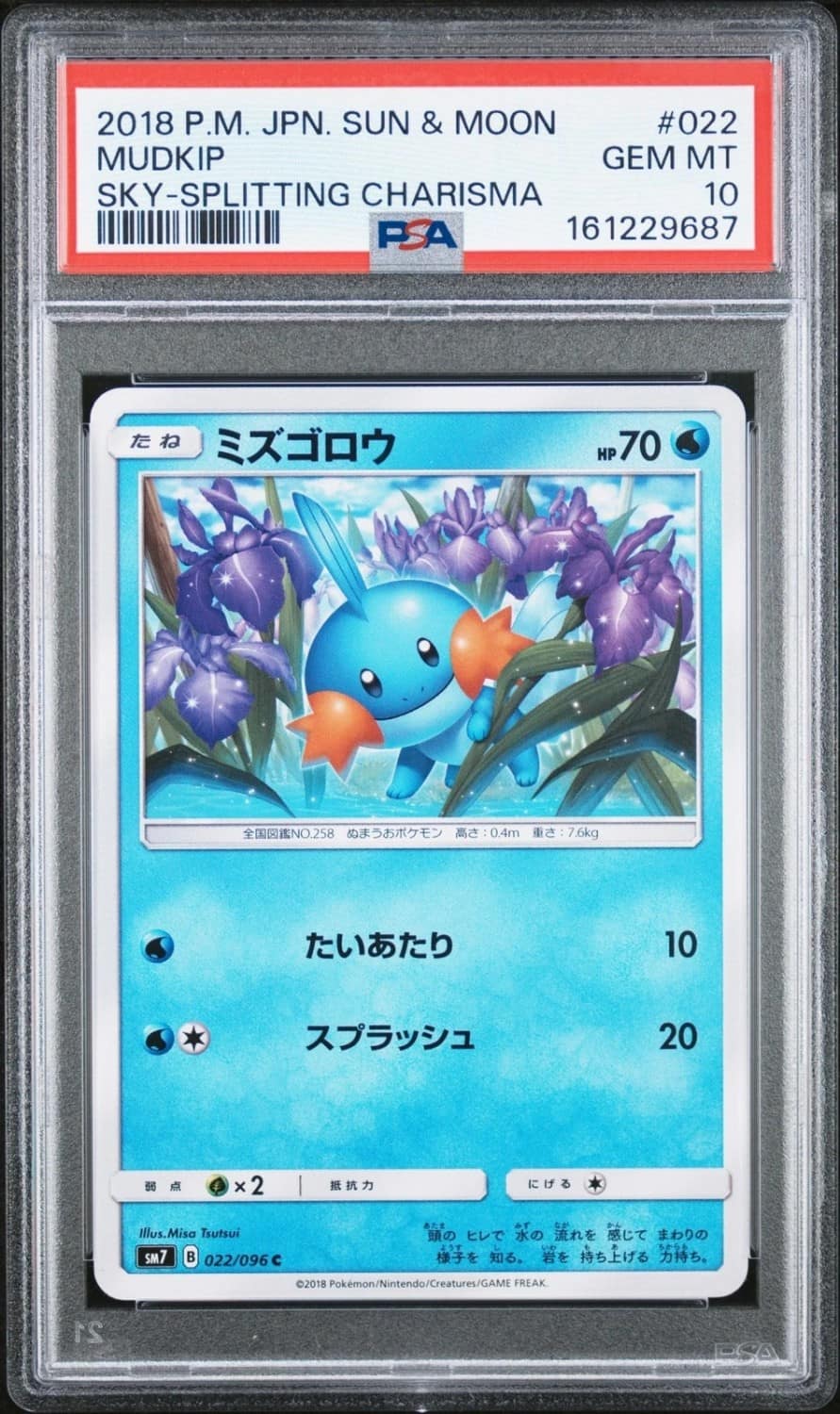 Mudkip