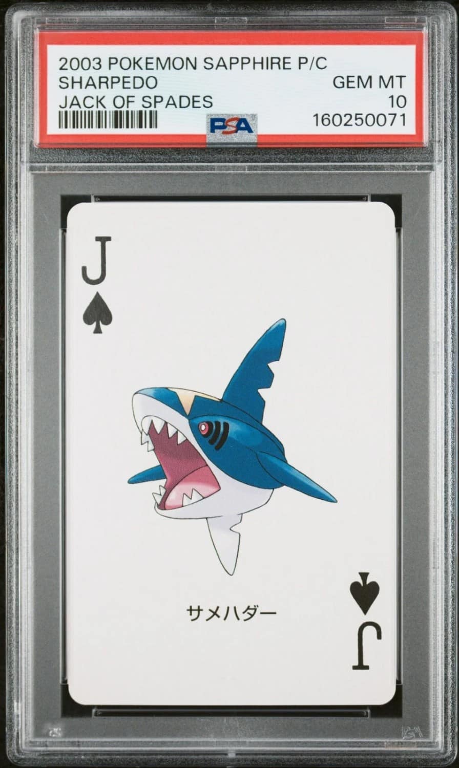 Sharpedo
