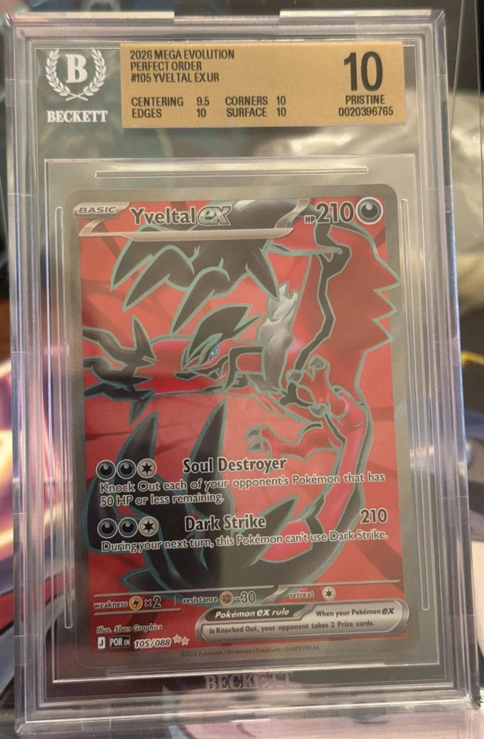 Yveltal Ex