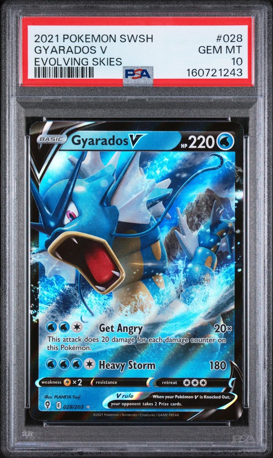 Gyarados V