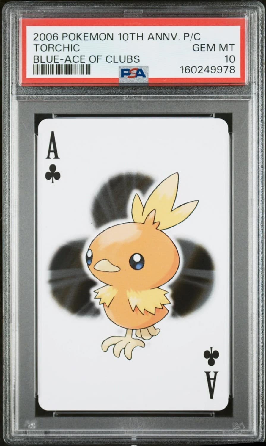 Torchic