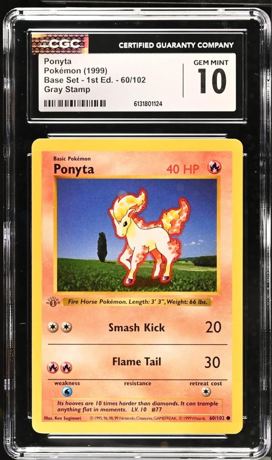Ponyta