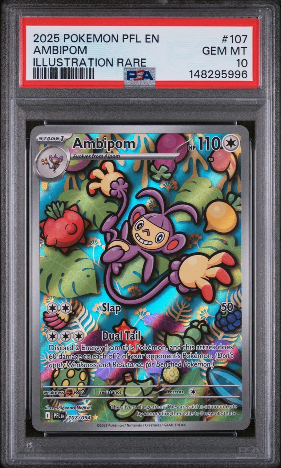 Ambipom