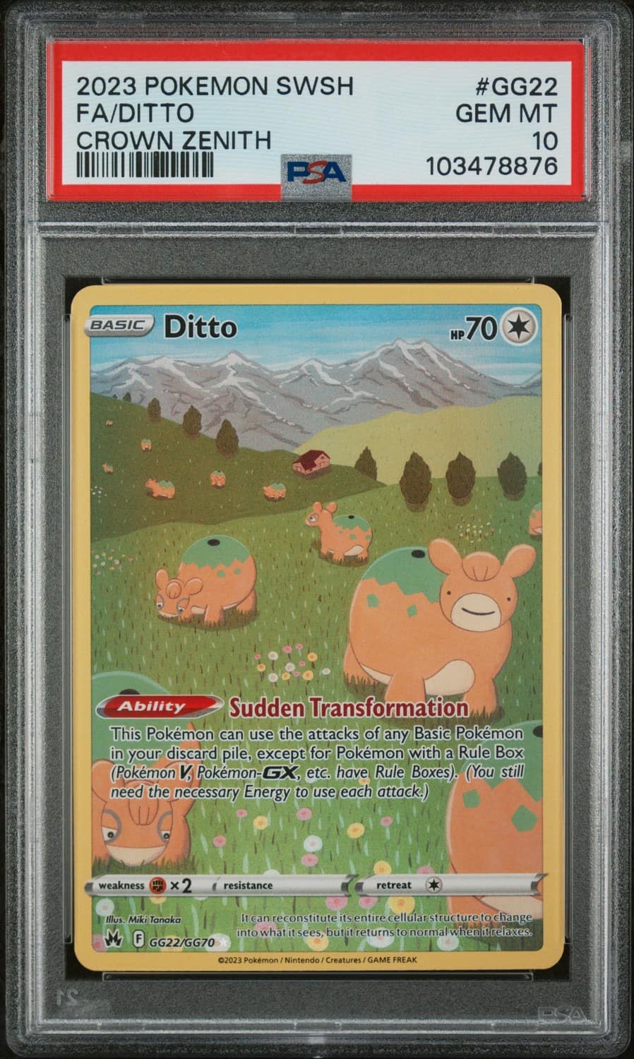 Ditto