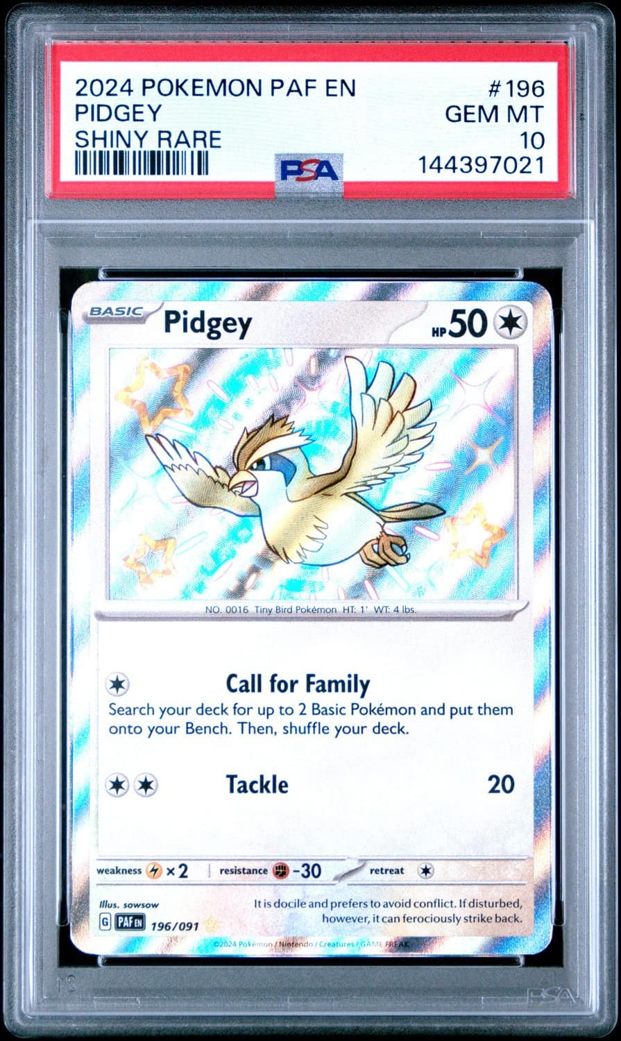 Pidgey