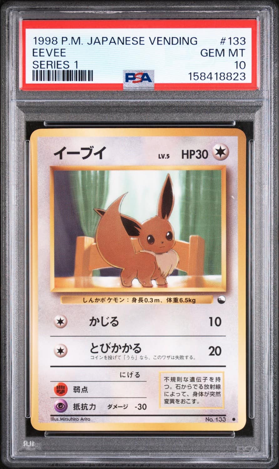 Eevee