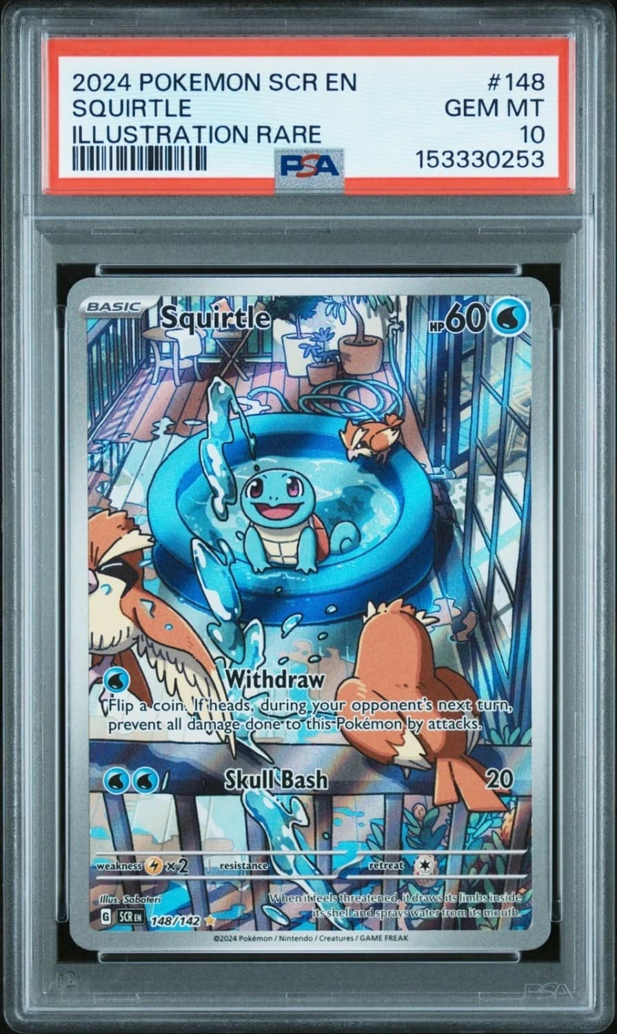 Squirtle