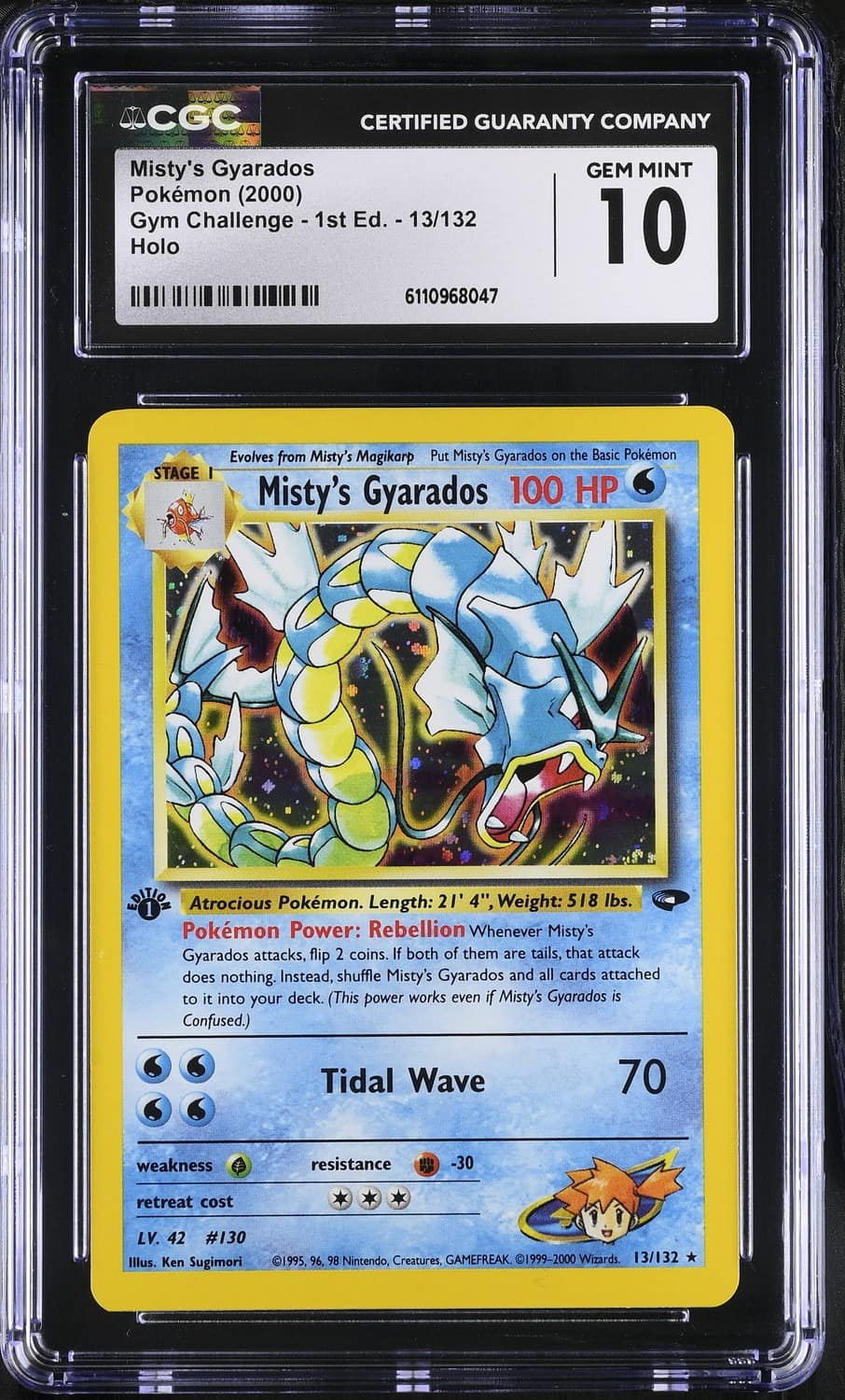 Misty'S Gyarados