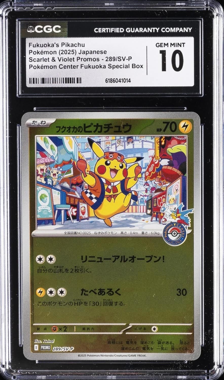 Fukuoka'S Pikachu